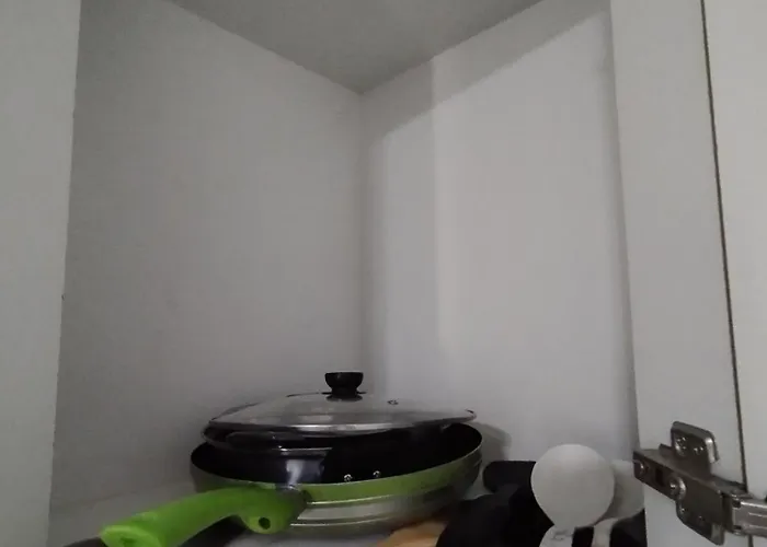 Avida Riala T1 1917/cebu It Park Apartment Cebu